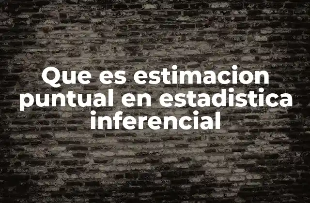 Que es Estimacion Puntual en Estadistica Inferencial