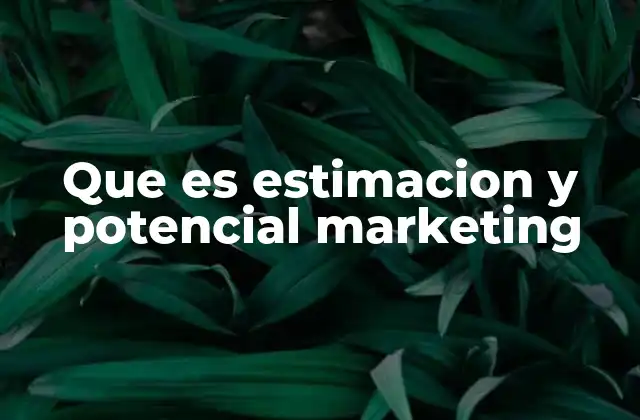 Que es Estimacion y Potencial Marketing