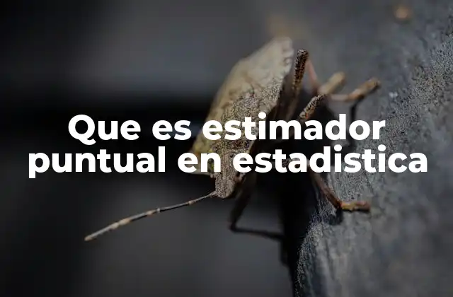 Que es Estimador Puntual en Estadistica