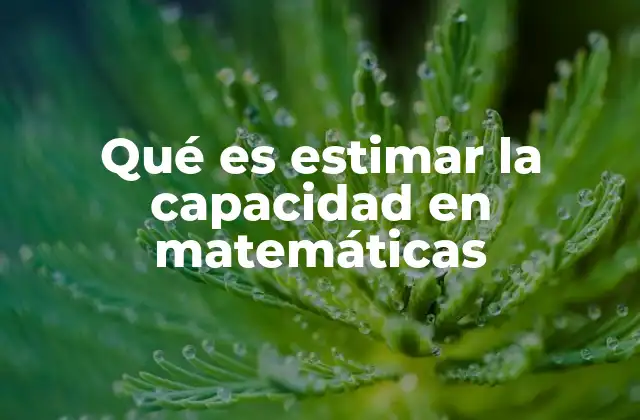 Qué es Estimar la Capacidad en Matemáticas