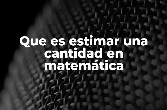 Que es Estimar una Cantidad en Matemática