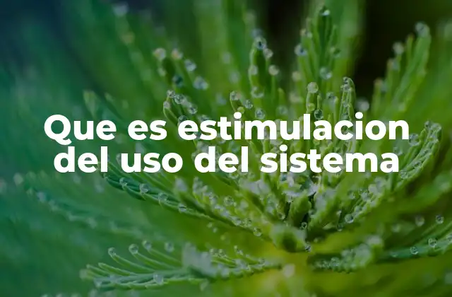 Que es Estimulacion Del Uso Del Sistema