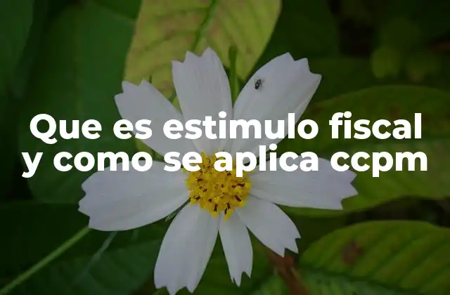 Que es Estimulo Fiscal y como Se Aplica Ccpm