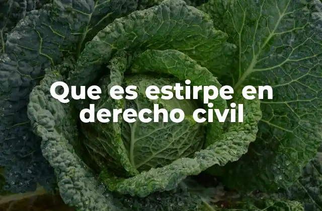 Que es Estirpe en Derecho Civil