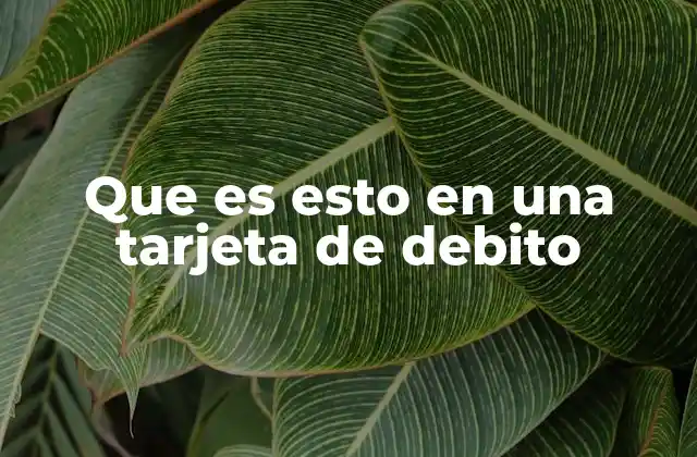 Que es Esto en una Tarjeta de Debito