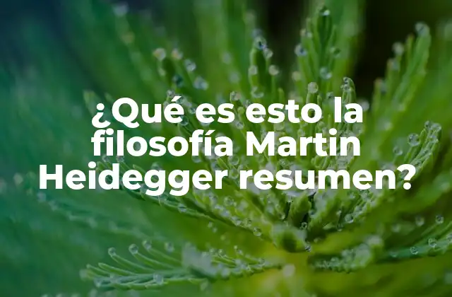 ¿qué es Esto la Filosofía Martin Heidegger Resumen? 2 La existencia humana en el pensamiento de Heidegger