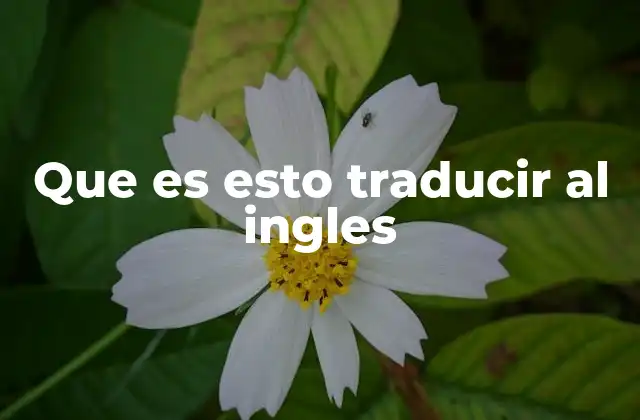 Que es Esto Traducir Al Ingles