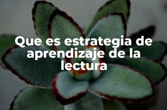 Que es Estrategia de Aprendizaje de la Lectura