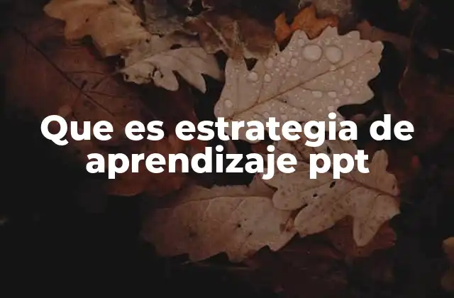 Que es Estrategia de Aprendizaje Ppt