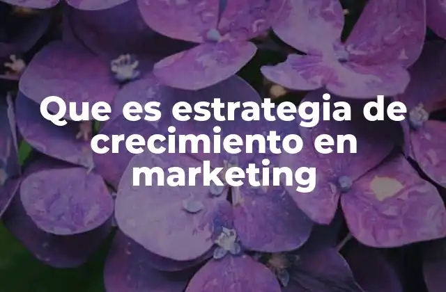 Que es Estrategia de Crecimiento en Marketing