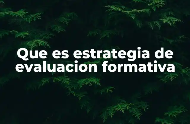 Que es Estrategia de Evaluacion Formativa
