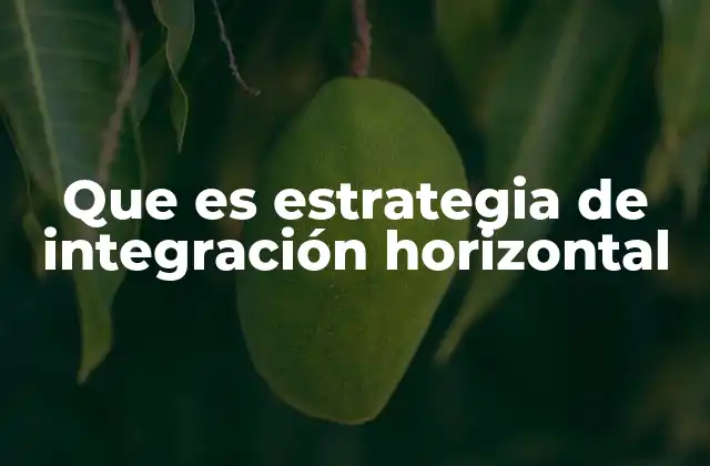 Que es Estrategia de Integración Horizontal