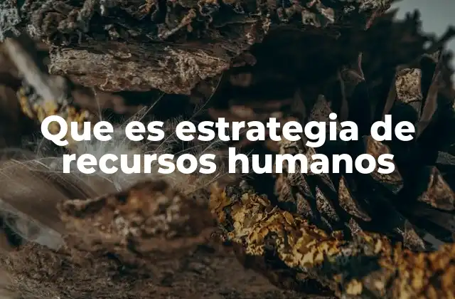 Que es Estrategia de Recursos Humanos