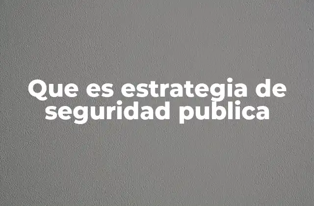 Que es Estrategia de Seguridad Publica