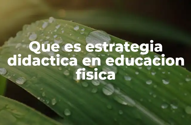 Que es Estrategia Didactica en Educacion Fisica