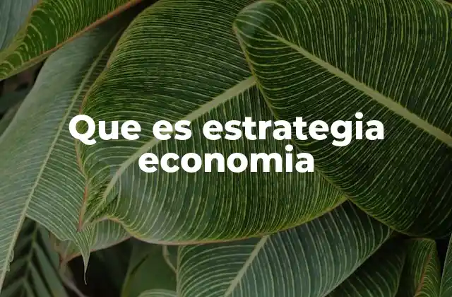 Que es Estrategia Economia