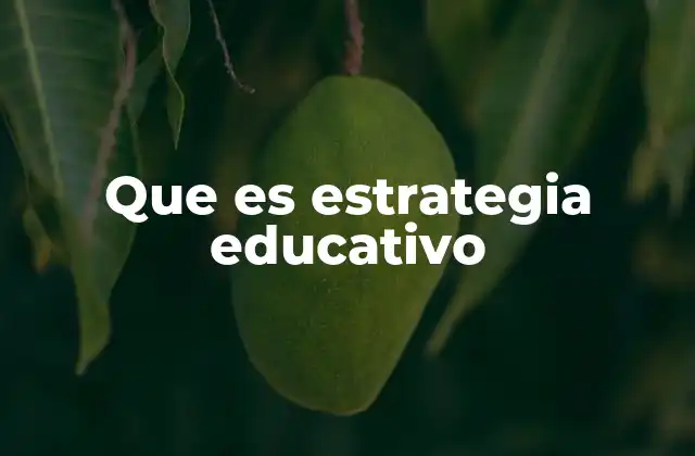 Que es Estrategia Educativo