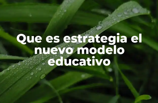 Que es Estrategia el Nuevo Modelo Educativo