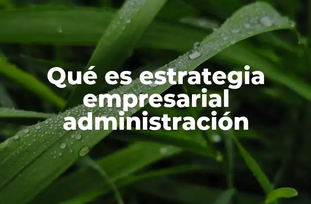 Qué es Estrategia Empresarial Administración