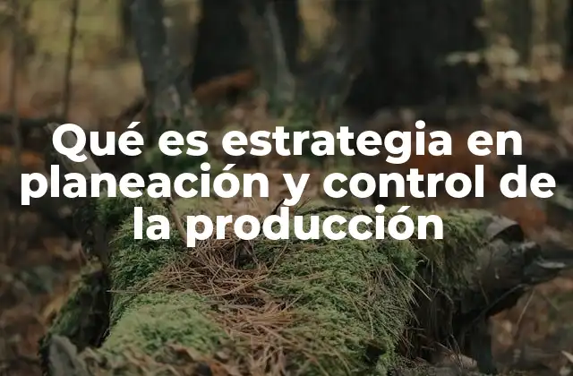 Qué es Estrategia en Planeación y Control de la Producción
