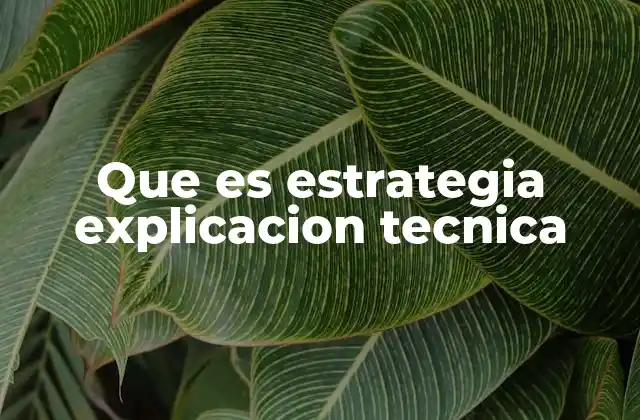 Que es Estrategia Explicacion Tecnica