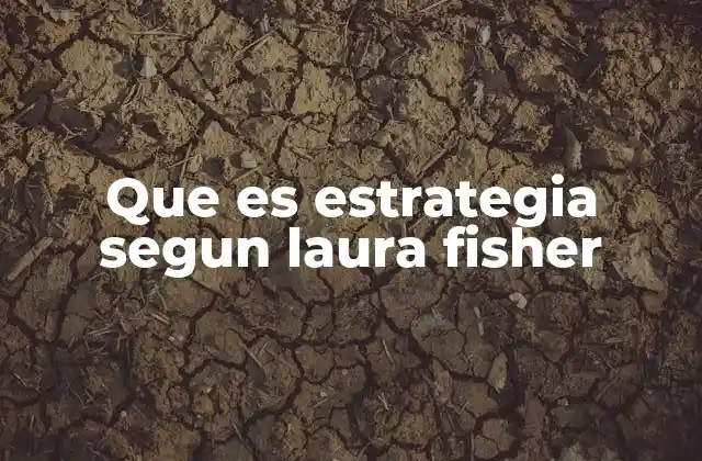 Que es Estrategia Segun Laura Fisher