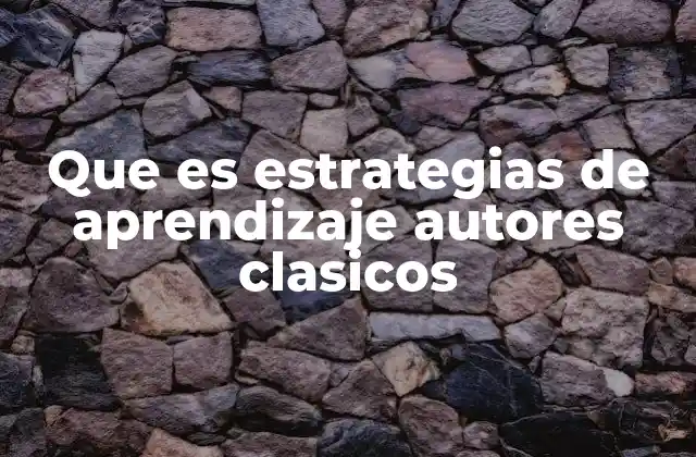 Aportes teóricos de los autores clásicos al aprendizaje
