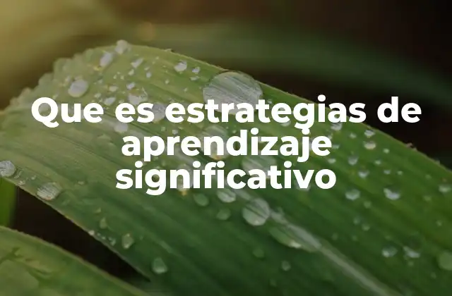Que es Estrategias de Aprendizaje Significativo