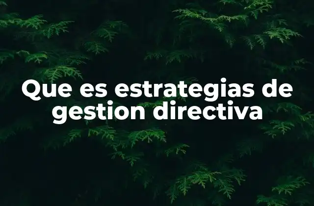 Que es Estrategias de Gestion Directiva