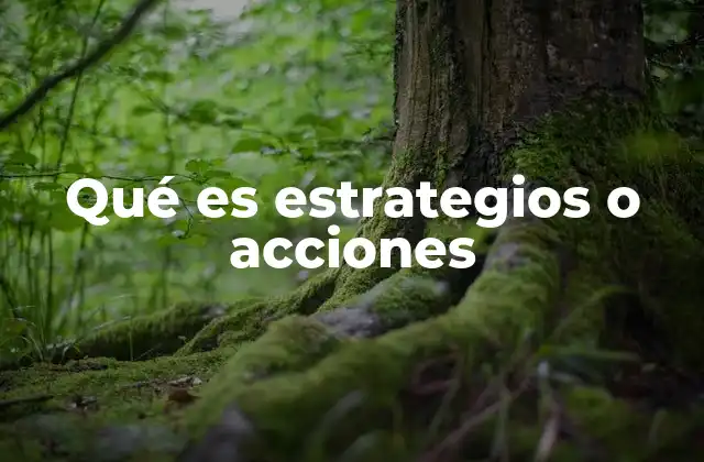 Qué es Estrategios o Acciones