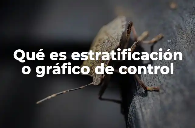 Qué es Estratificación o Gráfico de Control