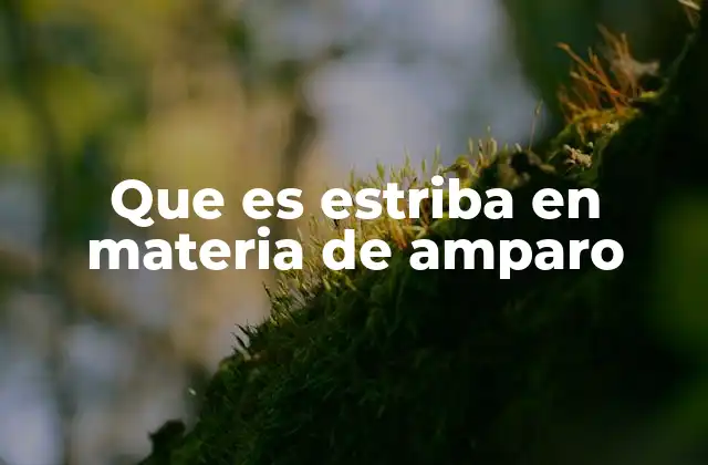 Que es Estriba en Materia de Amparo