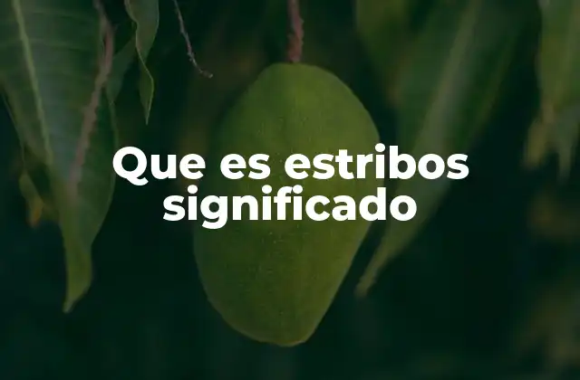 Que es Estribos Significado