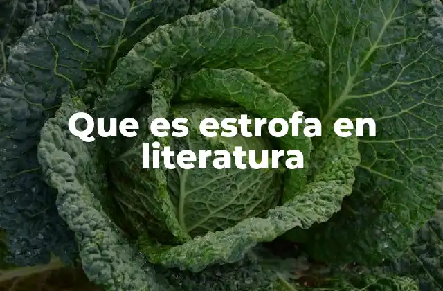 Que es Estrofa en Literatura