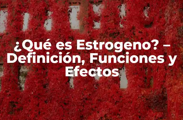 ¿qué es Estrogeno? - Definición, Funciones y Efectos 2 Definición de Estrogeno