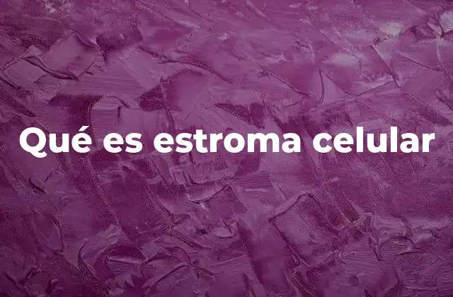 Qué es Estroma Celular