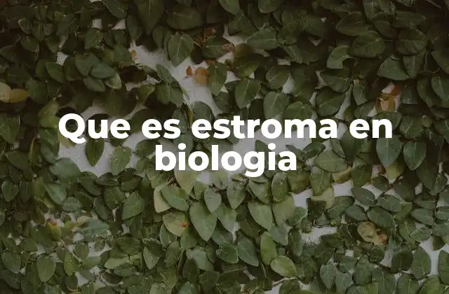 Que es Estroma en Biologia