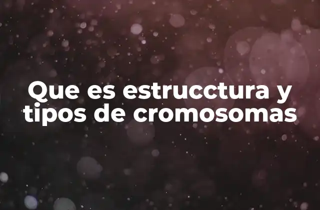Que es Estrucctura y Tipos de Cromosomas 2 La organización del ADN en cromosomas