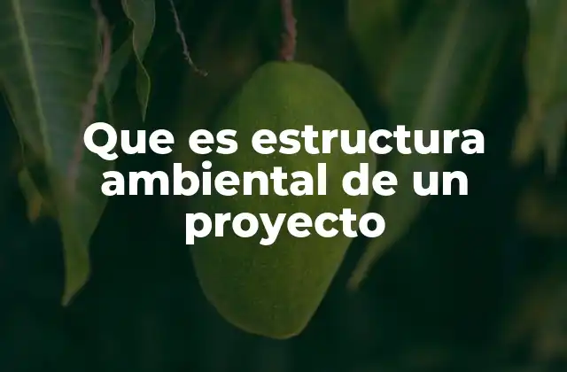 Que es Estructura Ambiental de un Proyecto