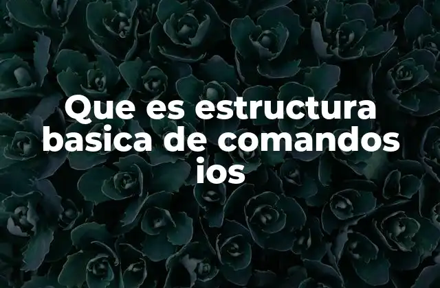Que es Estructura Basica de Comandos Ios