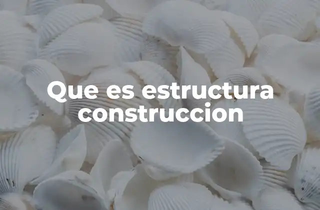 Que es Estructura Construccion