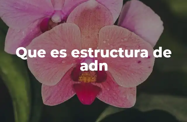 La base molecular de la herencia