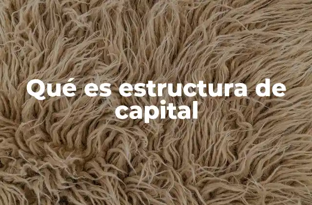 Qué es Estructura de Capital
