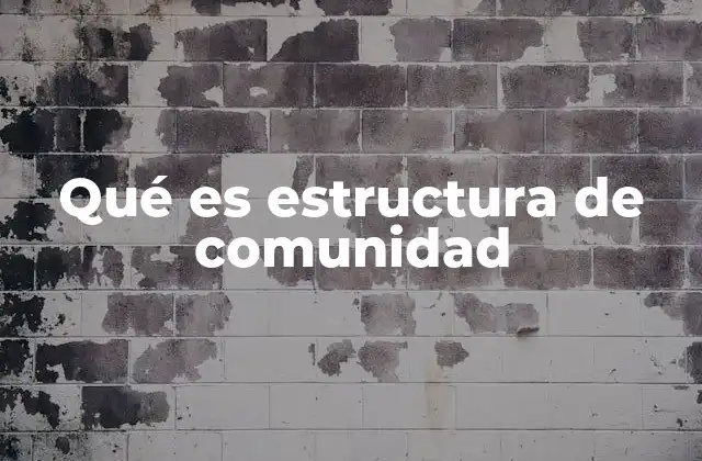 Qué es Estructura de Comunidad