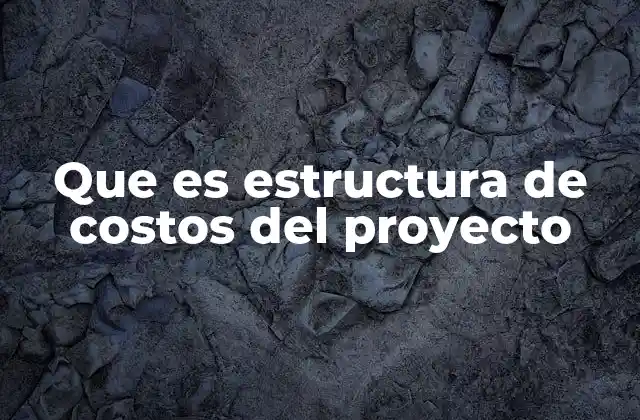 Que es Estructura de Costos Del Proyecto