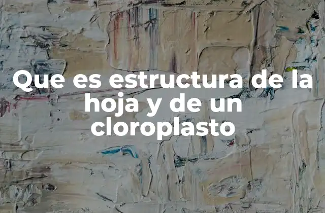 Que es Estructura de la Hoja y de un Cloroplasto