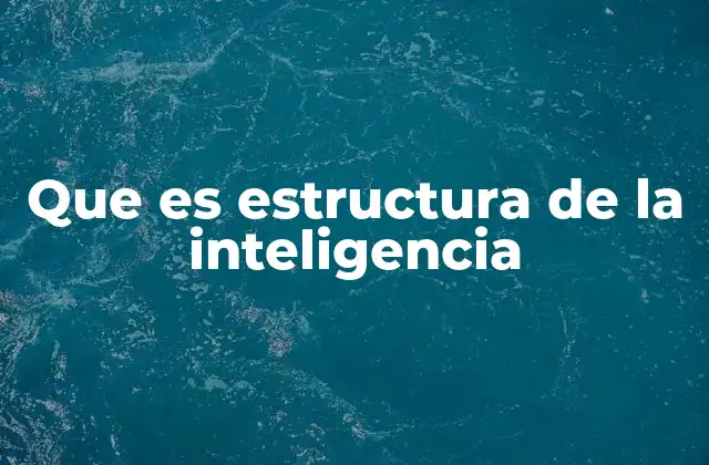 Que es Estructura de la Inteligencia 2 Cómo se organiza el funcionamiento cognitivo humano