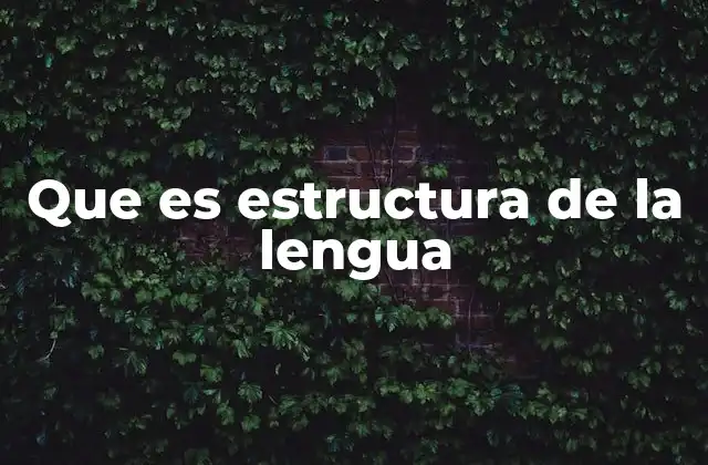 Que es Estructura de la Lengua