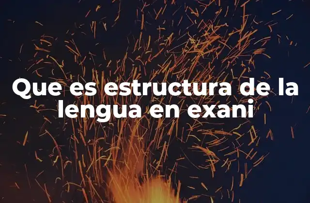 Cómo la estructura de la lengua influye en el rendimiento del EXANI