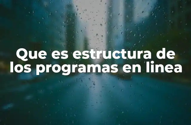 Que es Estructura de los Programas en Linea